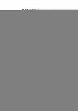 Сертификат на Круги лепестковые (КЛТ) 4